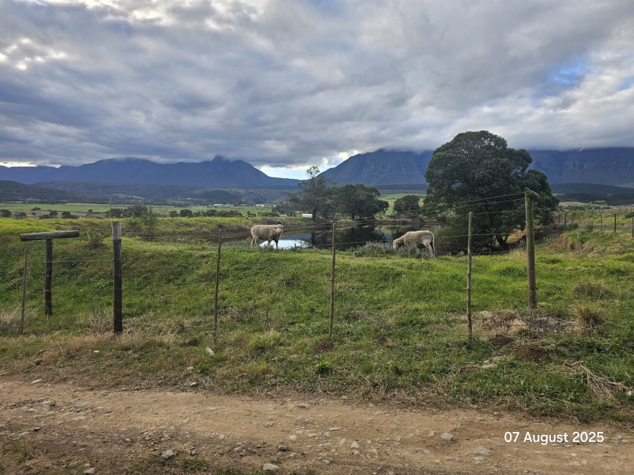 3 Bedroom Property for Sale in Riversdale Rural Western Cape